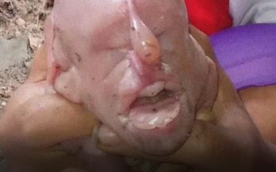Mutant Piglet with a Human-Like Face Shocks Negros Oriental – Science or Superstition?